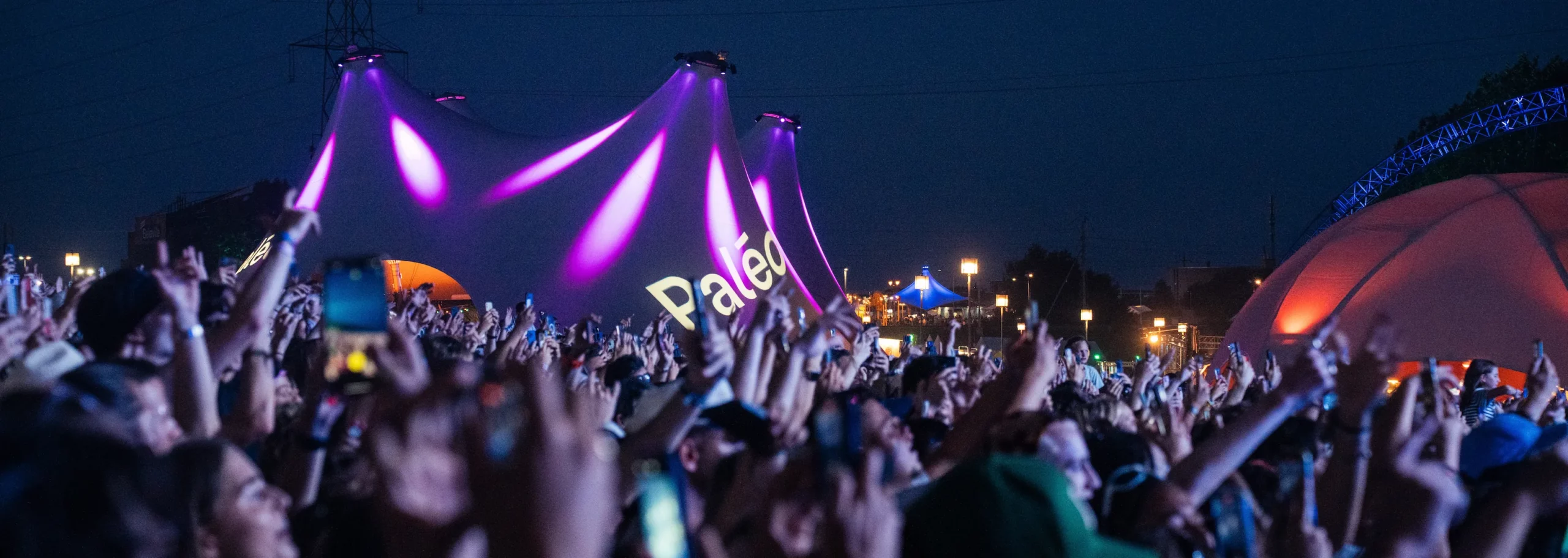 Foule dans la nuit à un concert à Paléo Festival
